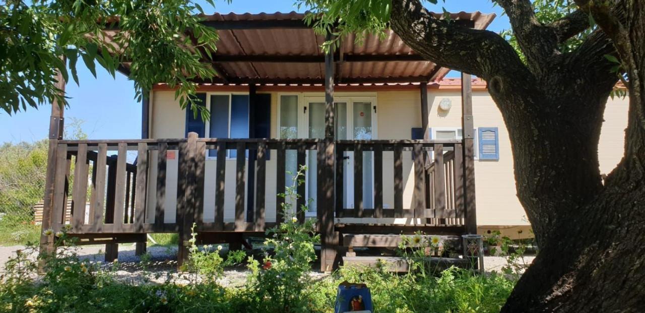 The Farm Tiny House - Tiny Casa Hotel Chiclana de la Frontera Eksteriør billede
