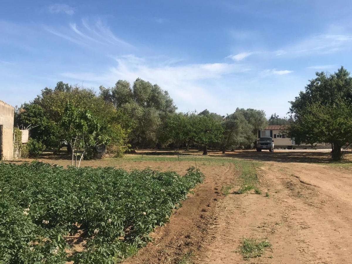 The Farm Tiny House - Tiny Casa Hotel Chiclana de la Frontera Eksteriør billede