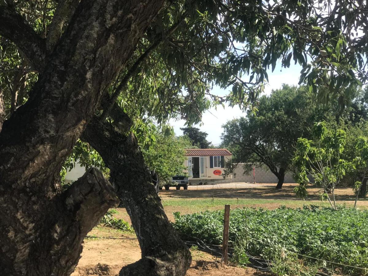 The Farm Tiny House - Tiny Casa Hotel Chiclana de la Frontera Eksteriør billede